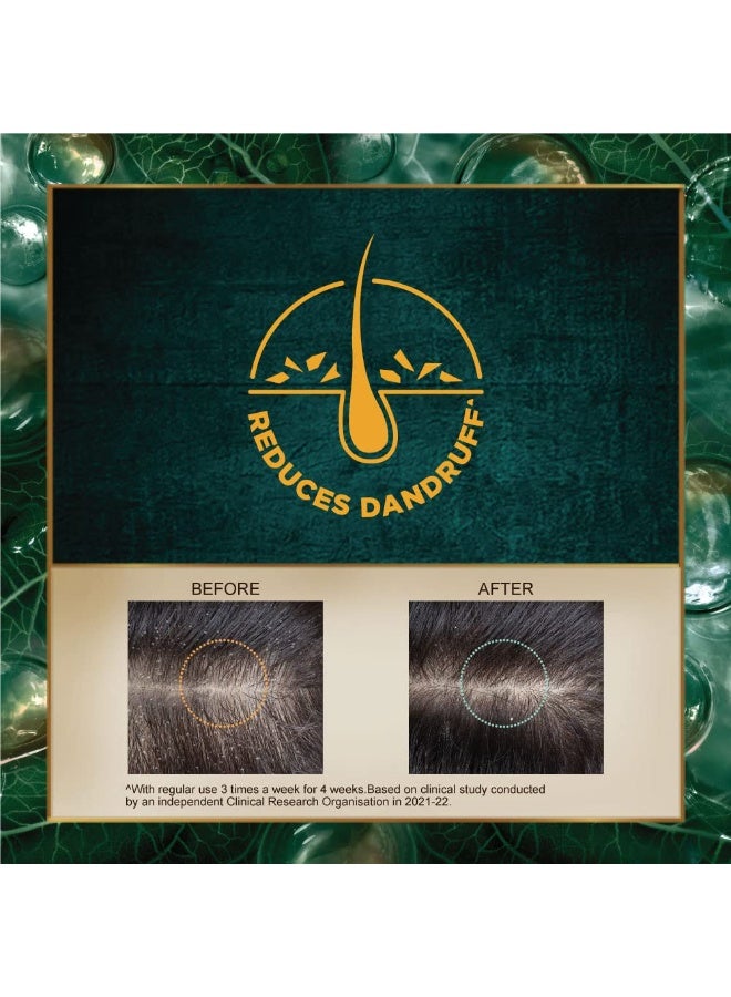 إندوليكا شامبو إندوليكا المضاد للقشرة 340 مل || للتحكم في القشرة || مع النعناع || الأملا || زيت إكليل الجبل - خالٍ من البارابين || للرجال والنساء - Image 2